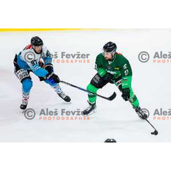 Nik Simsic of SZ Olimpija in action during IceHL 2025/2026 ice-hockey match between SZ Olimpija and Steinbach Black Wings Linz in Tivoli Hall, Ljubljana, Slovenia on October 10, 2025. Photo: Filip Barbalic