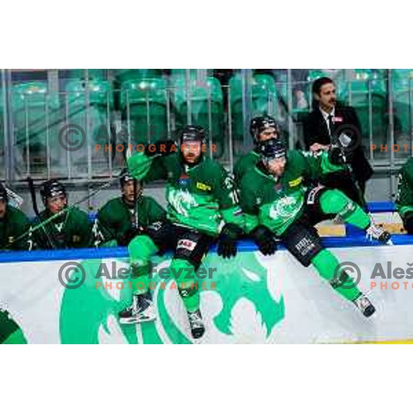 Marley Quince and Alex Petan of SZ Olimpija in action during IceHL 2025/2026 ice-hockey match between SZ Olimpija and Steinbach Black Wings Linz in Tivoli Hall, Ljubljana, Slovenia on October 10, 2025. Photo: Filip Barbalic