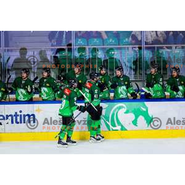 Players of SZ Olimpija celebrate goal during IceHL 2025/2026 ice-hockey match between SZ Olimpija and Steinbach Black Wings Linz in Tivoli Hall, Ljubljana, Slovenia on October 10, 2025. Photo: Filip Barbalic