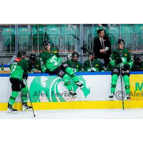 Maks Bukovec and Miha Bericic of SZ Olimpija in action during IceHL 2025/2026 ice-hockey match between SZ Olimpija and Steinbach Black Wings Linz in Tivoli Hall, Ljubljana, Slovenia on October 10, 2025. Photo: Filip Barbalic