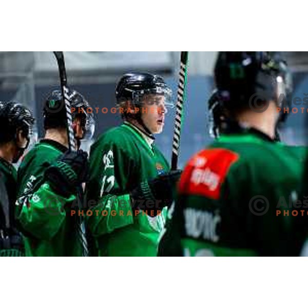 Ziga Mehle of SZ Olimpija in action during IceHL 2025/2026 ice-hockey match between SZ Olimpija and Steinbach Black Wings Linz in Tivoli Hall, Ljubljana, Slovenia on October 10, 2025. Photo: Filip Barbalic