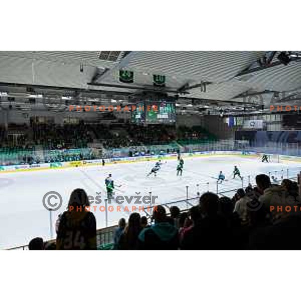 Hala Tivoli during IceHL 2025/2026 ice-hockey match between SZ Olimpija and Steinbach Black Wings Linz in Tivoli Hall, Ljubljana, Slovenia on October 10, 2025. Photo: Filip Barbalic