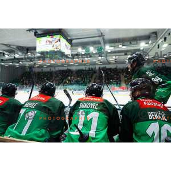 Ziga Mehle, Maks Bukovec and Miha Bericic of SZ Olimpija in action during IceHL 2025/2026 ice-hockey match between SZ Olimpija and Steinbach Black Wings Linz in Tivoli Hall, Ljubljana, Slovenia on October 10, 2025. Photo: Filip Barbalic