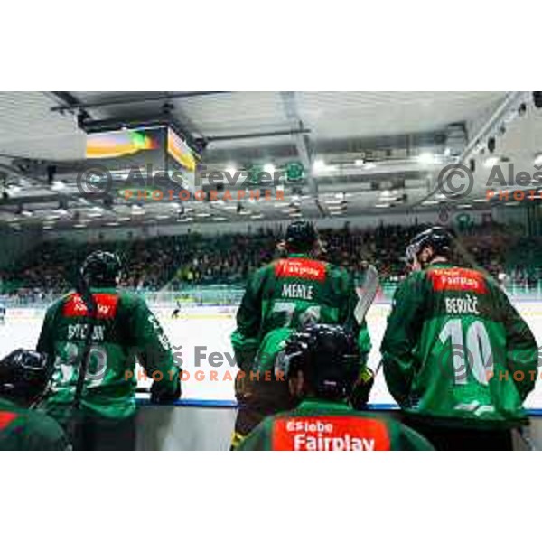 Maks Bukovec and Miha Bericic of SZ Olimpija in action during IceHL 2025/2026 ice-hockey match between SZ Olimpija and Steinbach Black Wings Linz in Tivoli Hall, Ljubljana, Slovenia on October 10, 2025. Photo: Filip Barbalic