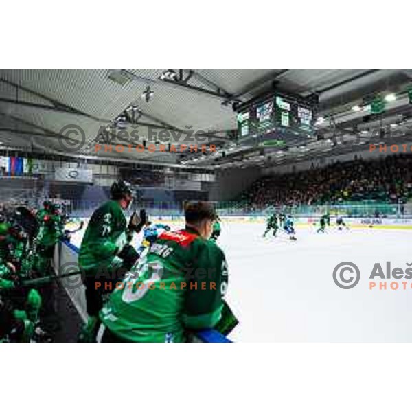 Hala Tivoli during IceHL 2025/2026 ice-hockey match between SZ Olimpija and Steinbach Black Wings Linz in Tivoli Hall, Ljubljana, Slovenia on October 10, 2025. Photo: Filip Barbalic