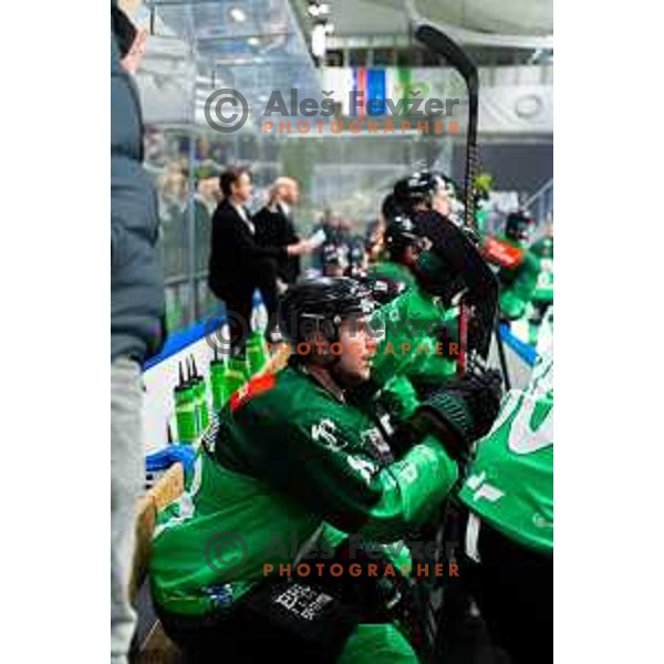 Ziga Mehle of SZ Olimpija in action during IceHL 2025/2026 ice-hockey match between SZ Olimpija and Steinbach Black Wings Linz in Tivoli Hall, Ljubljana, Slovenia on October 10, 2025. Photo: Filip Barbalic