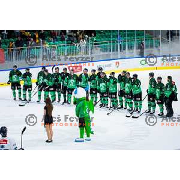 Players of SZ Olimpija after IceHL 2025/2026 ice-hockey match between SZ Olimpija and Steinbach Black Wings Linz in Tivoli Hall, Ljubljana, Slovenia on October 10, 2025. Photo: Filip Barbalic