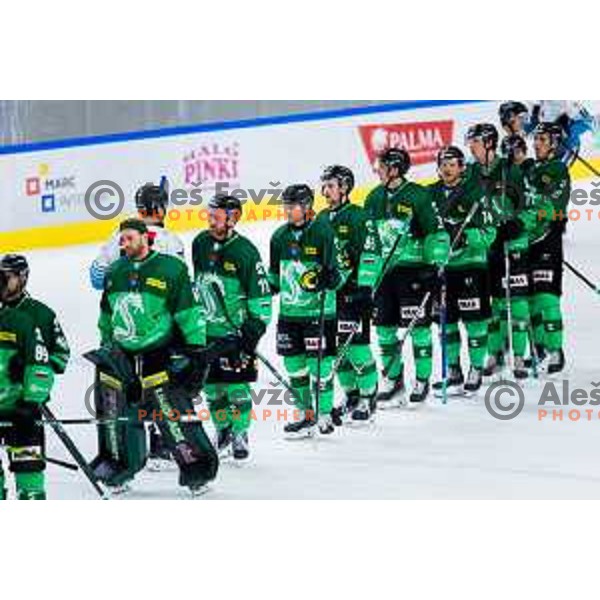 Players of SZ Olimpija after IceHL 2025/2026 ice-hockey match between SZ Olimpija and Steinbach Black Wings Linz in Tivoli Hall, Ljubljana, Slovenia on October 10, 2025. Photo: Filip Barbalic