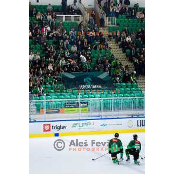 Players of SZ Olimpija after IceHL 2025/2026 ice-hockey match between SZ Olimpija and Steinbach Black Wings Linz in Tivoli Hall, Ljubljana, Slovenia on October 10, 2025. Photo: Filip Barbalic