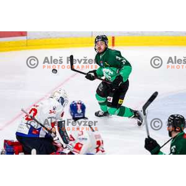 of SZ Olimpija in action during IceHL 2025/2026 ice-hockey match between SZ Olimpija and Tiwag Innsbruck in Tivoli Hall, Ljubljana, Slovenia on October 12, 2025