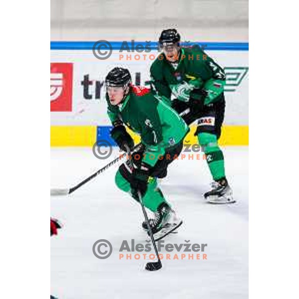of SZ Olimpija in action during IceHL 2025/2026 ice-hockey match between SZ Olimpija and Tiwag Innsbruck in Tivoli Hall, Ljubljana, Slovenia on October 12, 2025