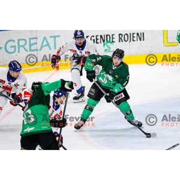 of SZ Olimpija in action during IceHL 2025/2026 ice-hockey match between SZ Olimpija and Tiwag Innsbruck in Tivoli Hall, Ljubljana, Slovenia on October 12, 2025