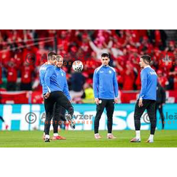 Nejc Gradisar during FIFA World Cup 2026 European Qualifiers match between Slovenia and Switzerland in SRC Stozice, Ljubljana, Slovenia on October 13, 2025