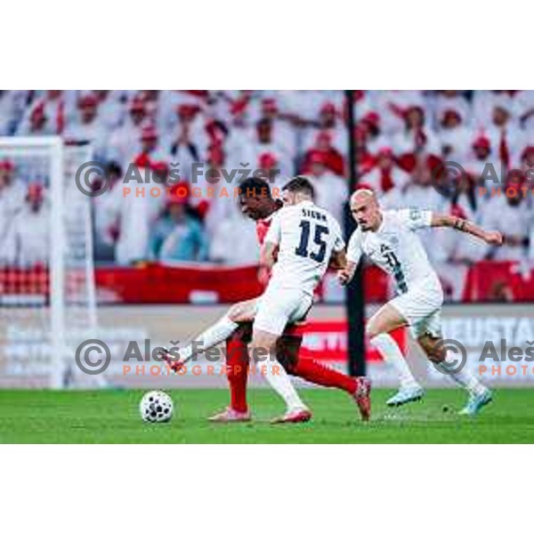 Danijel Sturm during FIFA World Cup 2026 European Qualifiers match between Slovenia and Switzerland in SRC Stozice, Ljubljana, Slovenia on October 13, 2025