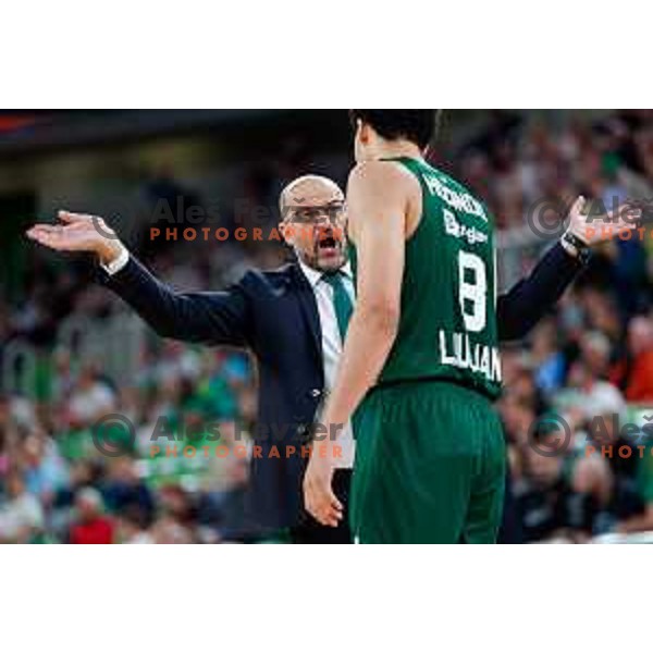 Zvezdan Mitrović, Head coach of KK Cedevita Olimpija in action during BKT EuroCup 2025-2026 basketball match between Cedevita Olimpija (SLO) and Aris Solun (GRC) in SRC Stozice, Ljubljana, Slovenia on October 14th, 2025