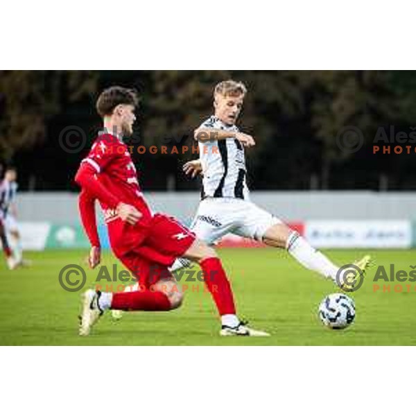 Niko Kasalo in action during Prva liga Telemach 2025/26 football match between NK Aluminij and NK Mura in Sportni park Kidricevo, Slovenia on October 17, 2025. Photo: Jure Banfi