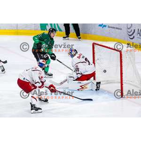 Bine Masic of SZ Olimpija celebrates a goal at IceHL 2025/2026 ice-hockey match between SZ Olimpija and Red Bull Salzburg in Tivoli Hall, Ljubljana, Slovenia on October 17, 2025