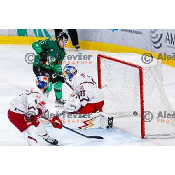 Bine Masic of SZ Olimpija celebrates a goal at IceHL 2025/2026 ice-hockey match between SZ Olimpija and Red Bull Salzburg in Tivoli Hall, Ljubljana, Slovenia on October 17, 2025