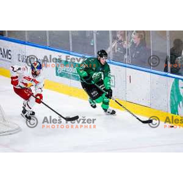 of SZ Olimpija in action during IceHL 2025/2026 ice-hockey match between SZ Olimpija and Red Bull Salzburg in Tivoli Hall, Ljubljana, Slovenia on October 17, 2025