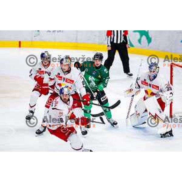 of SZ Olimpija in action during IceHL 2025/2026 ice-hockey match between SZ Olimpija and Red Bull Salzburg in Tivoli Hall, Ljubljana, Slovenia on October 17, 2025