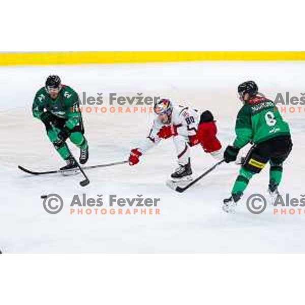 of SZ Olimpija in action during IceHL 2025/2026 ice-hockey match between SZ Olimpija and Red Bull Salzburg in Tivoli Hall, Ljubljana, Slovenia on October 17, 2025