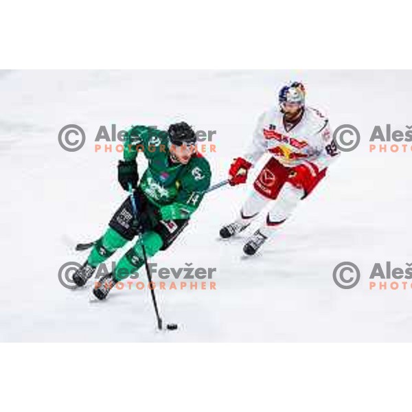 of SZ Olimpija in action during IceHL 2025/2026 ice-hockey match between SZ Olimpija and Red Bull Salzburg in Tivoli Hall, Ljubljana, Slovenia on October 17, 2025