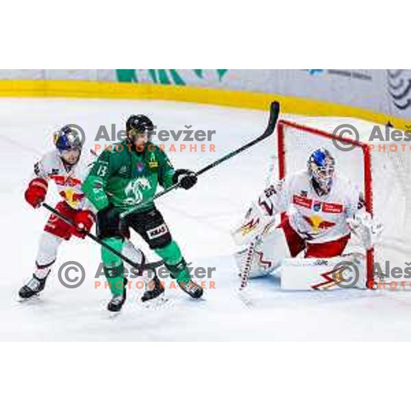 of SZ Olimpija in action during IceHL 2025/2026 ice-hockey match between SZ Olimpija and Red Bull Salzburg in Tivoli Hall, Ljubljana, Slovenia on October 17, 2025