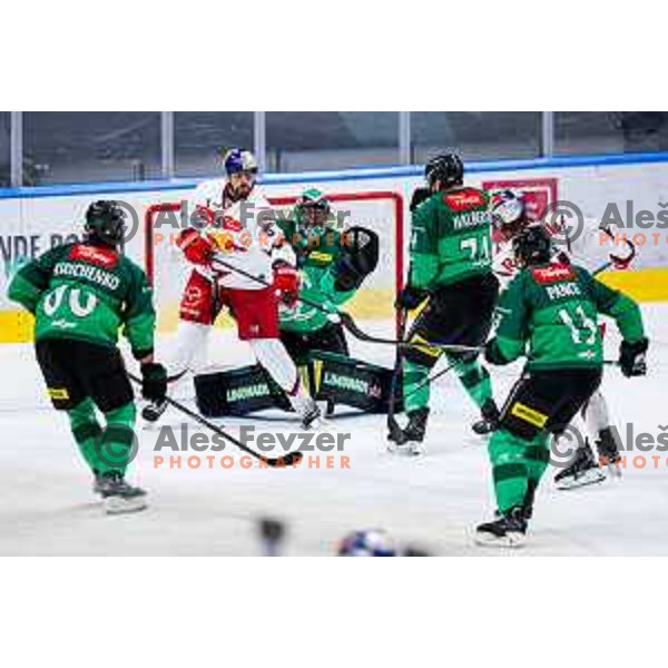 of SZ Olimpija in action during IceHL 2025/2026 ice-hockey match between SZ Olimpija and Red Bull Salzburg in Tivoli Hall, Ljubljana, Slovenia on October 17, 2025