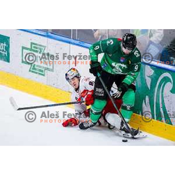 of SZ Olimpija in action during IceHL 2025/2026 ice-hockey match between SZ Olimpija and Red Bull Salzburg in Tivoli Hall, Ljubljana, Slovenia on October 17, 2025