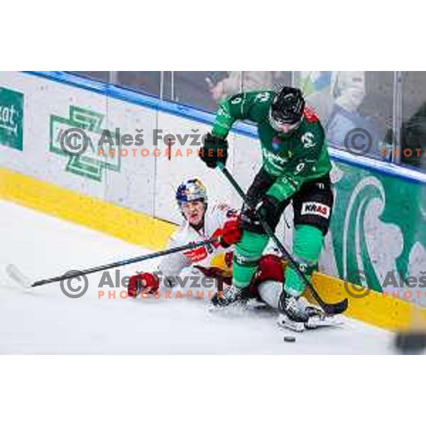 of SZ Olimpija in action during IceHL 2025/2026 ice-hockey match between SZ Olimpija and Red Bull Salzburg in Tivoli Hall, Ljubljana, Slovenia on October 17, 2025