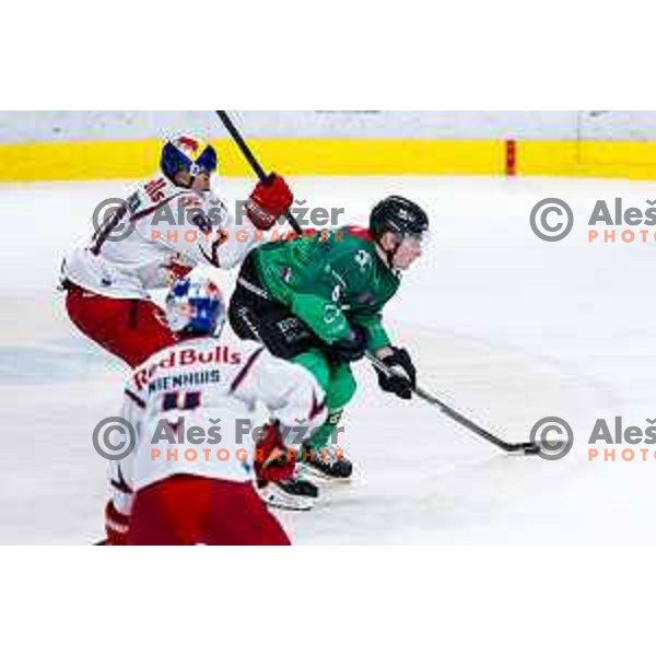 of SZ Olimpija in action during IceHL 2025/2026 ice-hockey match between SZ Olimpija and Red Bull Salzburg in Tivoli Hall, Ljubljana, Slovenia on October 17, 2025