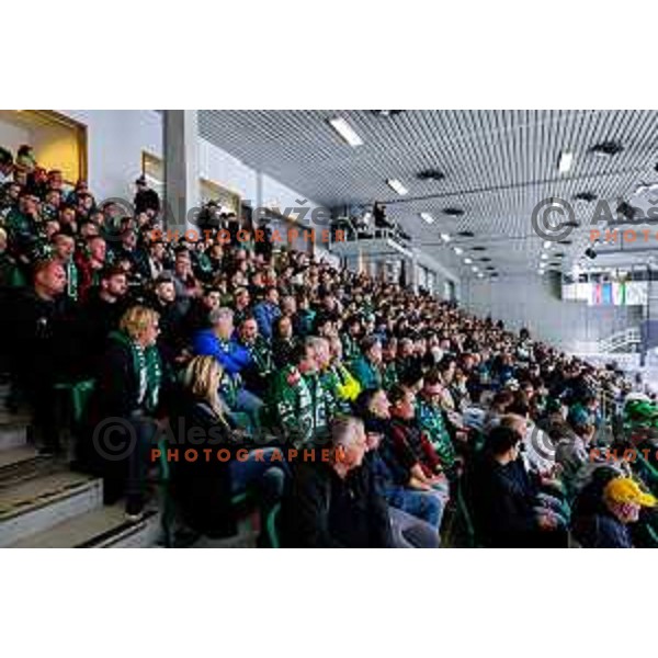 of SZ Olimpija in action during IceHL 2025/2026 ice-hockey match between SZ Olimpija and Red Bull Salzburg in Tivoli Hall, Ljubljana, Slovenia on October 17, 2025