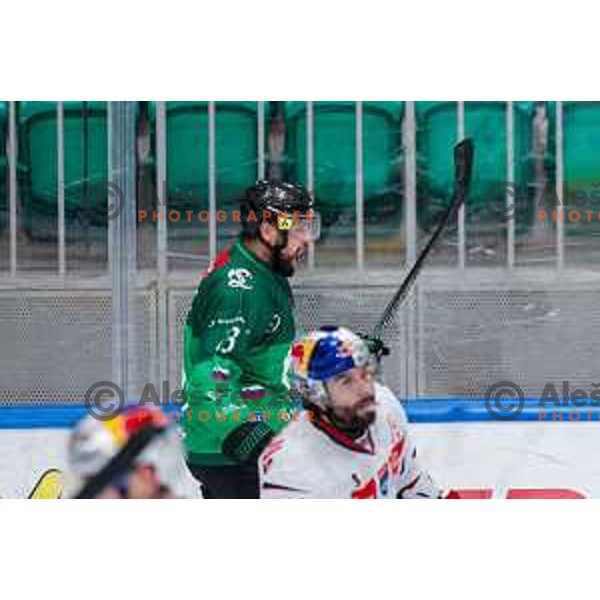 Ziga Pance of SZ Olimpija celebrates a goal during IceHL 2025/2026 ice-hockey match between SZ Olimpija and Red Bull Salzburg in Tivoli Hall, Ljubljana, Slovenia on October 17, 2025
