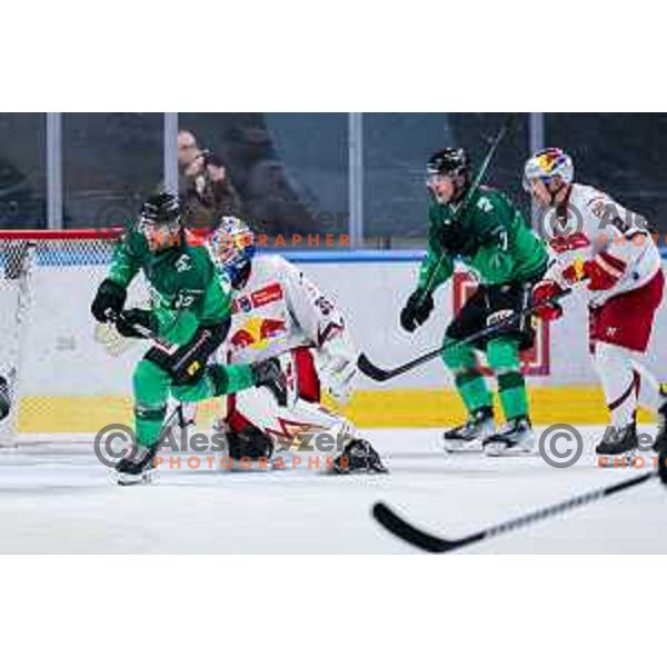 of SZ Olimpija in action during IceHL 2025/2026 ice-hockey match between SZ Olimpija and Red Bull Salzburg in Tivoli Hall, Ljubljana, Slovenia on October 17, 2025