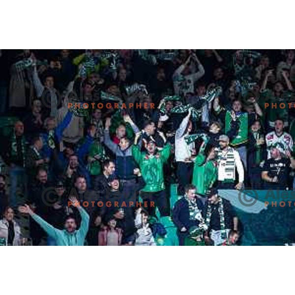of SZ Olimpija in action during IceHL 2025/2026 ice-hockey match between SZ Olimpija and Red Bull Salzburg in Tivoli Hall, Ljubljana, Slovenia on October 17, 2025