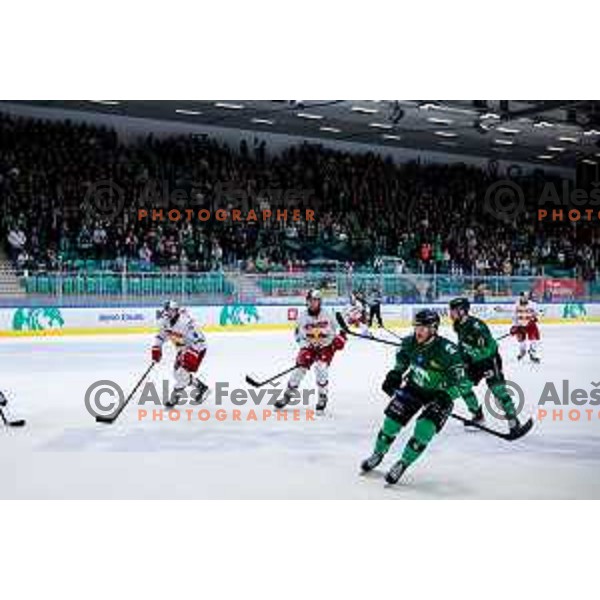 of SZ Olimpija in action during IceHL 2025/2026 ice-hockey match between SZ Olimpija and Red Bull Salzburg in Tivoli Hall, Ljubljana, Slovenia on October 17, 2025