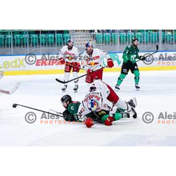 of SZ Olimpija in action during IceHL 2025/2026 ice-hockey match between SZ Olimpija and Red Bull Salzburg in Tivoli Hall, Ljubljana, Slovenia on October 17, 2025