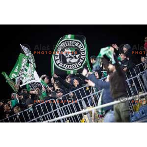 Green Dragons during Prva liga Telemach 2025/26 football match between NK Celje and NK Olimpija in Stadion z’dezele, Celje, Slovenia on October 18, 2025. Photo: Jure Banfi