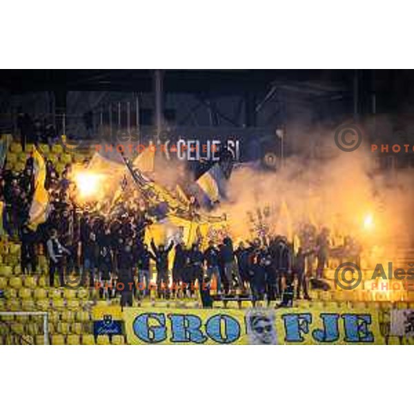 Celjski grofje during Prva liga Telemach 2025/26 football match between NK Celje and NK Olimpija in Stadion z’dezele, Celje, Slovenia on October 18, 2025. Photo: Jure Banfi