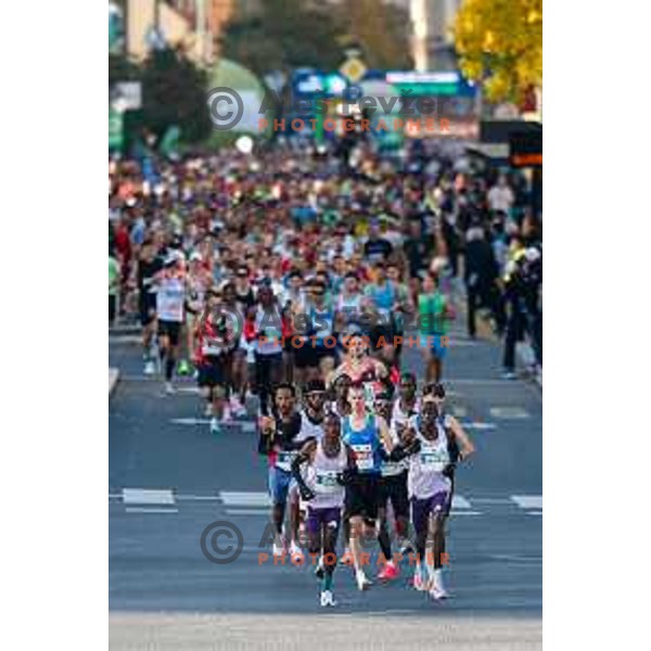 Ljubljana 2025 Marathon in Ljubljana, Slovenia on October 19, 2025