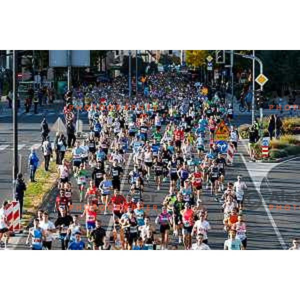 Ljubljana 2025 Marathon in Ljubljana, Slovenia on October 19, 2025