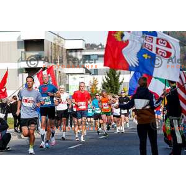 Ljubljana 2025 Marathon in Ljubljana, Slovenia on October 19, 2025