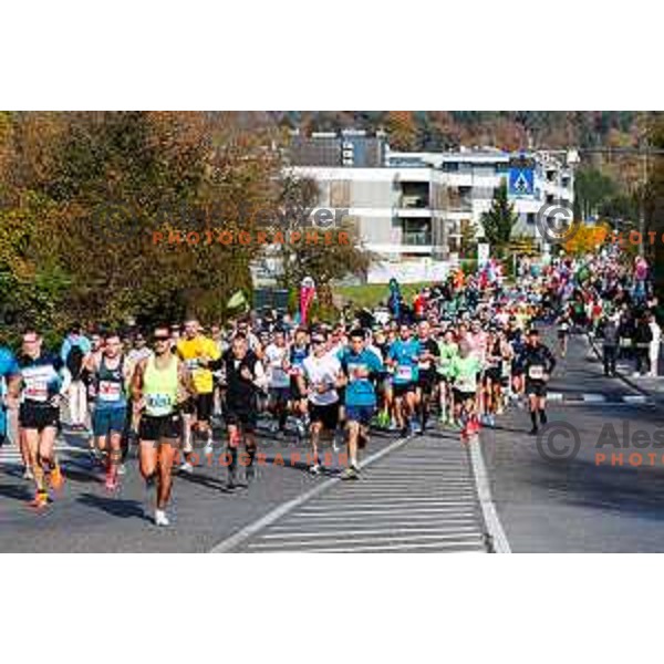 Ljubljana 2025 Marathon in Ljubljana, Slovenia on October 19, 2025