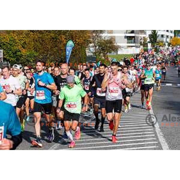Ljubljana 2025 Marathon in Ljubljana, Slovenia on October 19, 2025