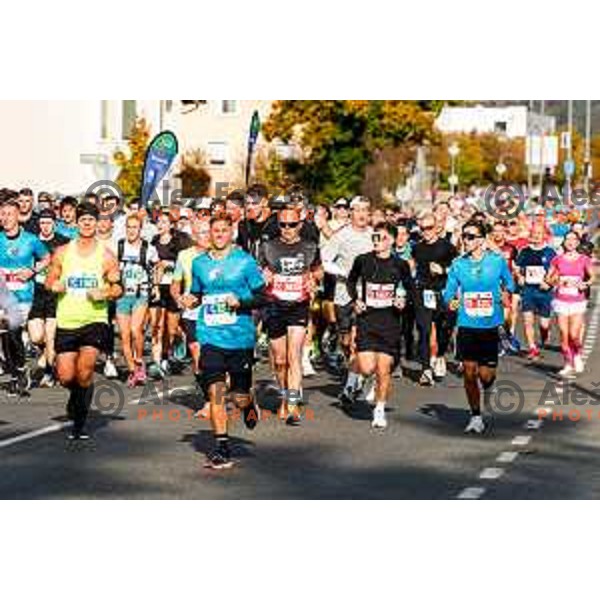 Ljubljana 2025 Marathon in Ljubljana, Slovenia on October 19, 2025