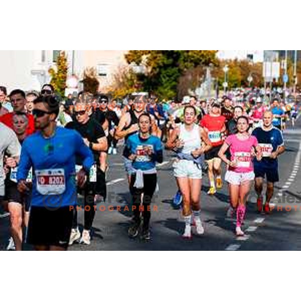 Ljubljana 2025 Marathon in Ljubljana, Slovenia on October 19, 2025
