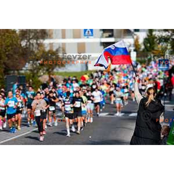 Ljubljana 2025 Marathon in Ljubljana, Slovenia on October 19, 2025