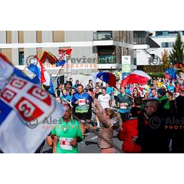 Ljubljana 2025 Marathon in Ljubljana, Slovenia on October 19, 2025