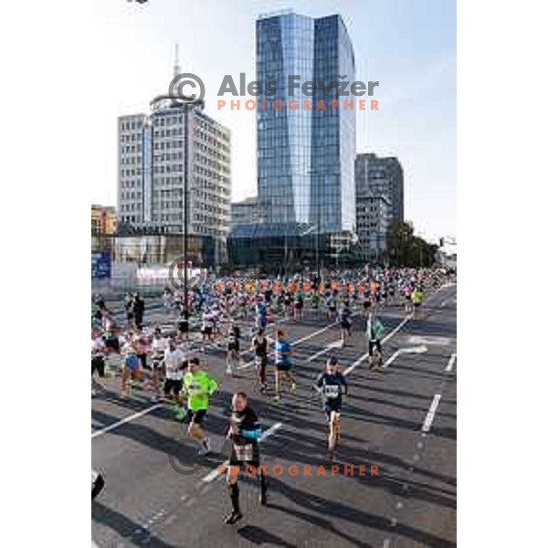 Ljubljana Marathon, Slovenia on October 19, 2025
