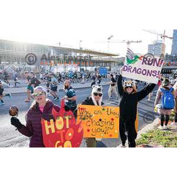 Ljubljana Marathon, Slovenia on October 19, 2025
